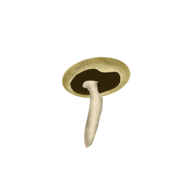 Karya Seni Tanpa Judul