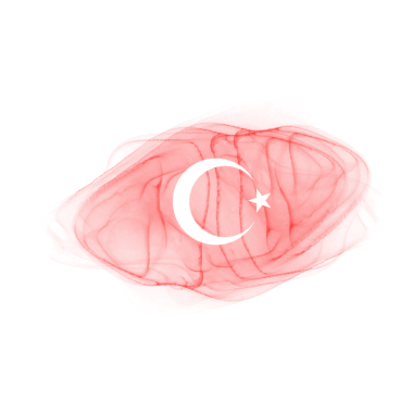 Türkiye Bayrak Mürekkebi Fırçası