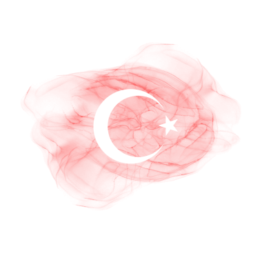 Türkiye Bayrak Mürekkebi Fırçası