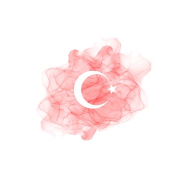 Türkiye Bayrak Mürekkebi Fırçası