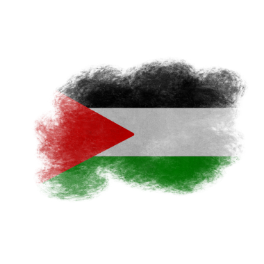 Filistin Fırça Bayrak Boyası