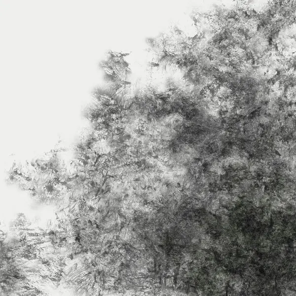 Soyut Grunge Doku Beyaz Arkaplan