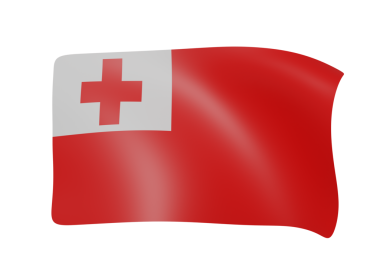 Tonga sallama bayrağı 3d renk illüstrasyonu