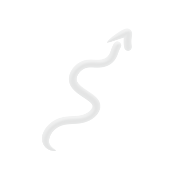 Panah, Web Kullanımı için Basit PNG Resmi