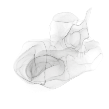 Siyah Mürekkep Şekli, Web Kullanımı için Basit Resim