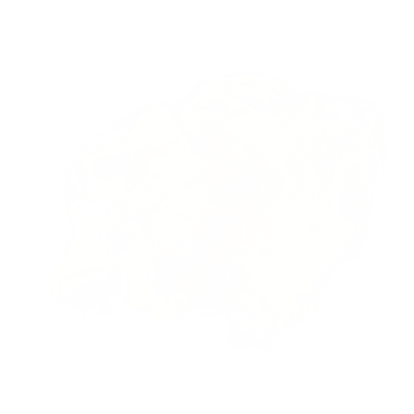 Web kullanımı için beyaz mürekkep şekli, basit PNG resmi