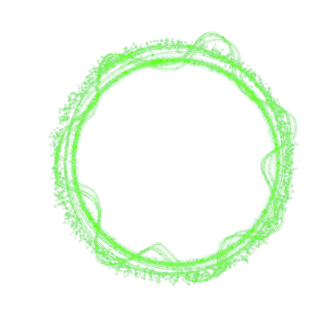 Light Green Glitter Round Line Frame