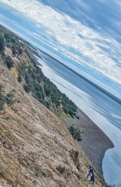 Baltık Denizi adasının güzel manzarası. Patagonya Arjantin 