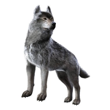 Warg Wolf boyalı 3D çizim