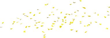 Sarı kelebek kaleydoskobu 3D görüntüsü beyaz arkaplanda izole edildi