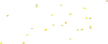 Sarı kelebek kaleydoskobu 3D görüntüsü beyaz arkaplanda izole edildi