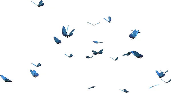 Kaleidoszkóp Kék Morfó Pillangók Elszigetelt Render Fehér Alapon — Stock Fotó