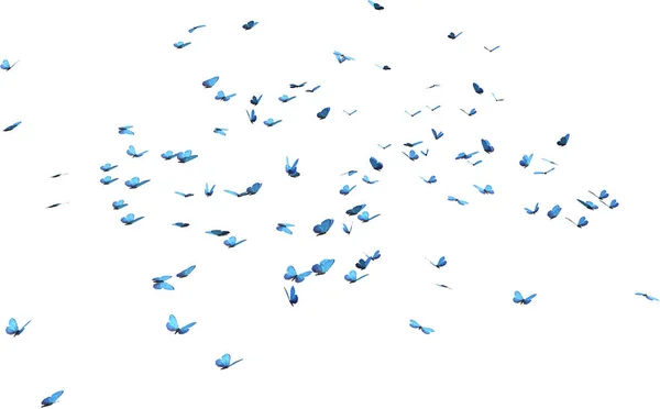Mavi Morpho Kelebeklerinin Kaleydoskobu Beyaz Arkaplandaki Boyutlu Görüntüyü Izole Etti — Stok fotoğraf