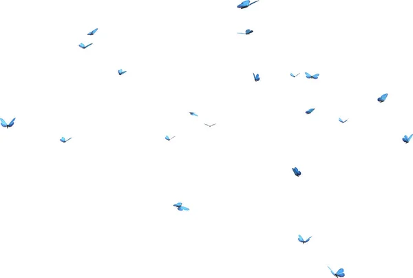 Caleidoscopio Farfalle Blu Morpho Isolate Rendering Sfondo Bianco — Foto Stock