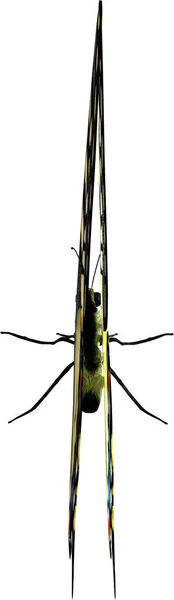 Gemeenschappelijk Geel Swallowtail Closeup Renderen Geïsoleerd Een Witte Achtergrond — Stockfoto