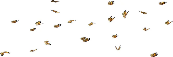 Kral Kelebeklerinin Kaleydoskobu Beyaz Arka Planda Boyutlu Görüntüleme — Stok fotoğraf