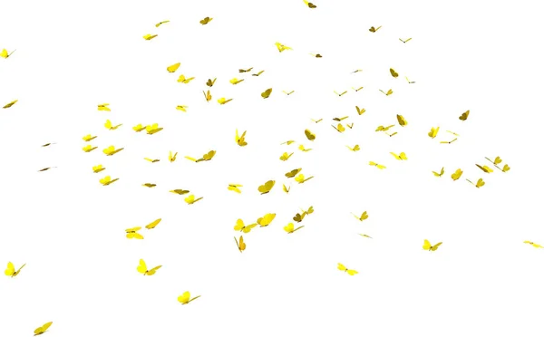 Sarı Kelebek Kaleydoskobu Görüntüsü Beyaz Arkaplanda Izole Edildi — Stok fotoğraf
