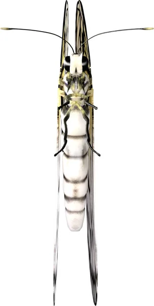 白い背景に隔離されたペーパーカイト蝶の閉鎖3Dレンダリング — ストック写真