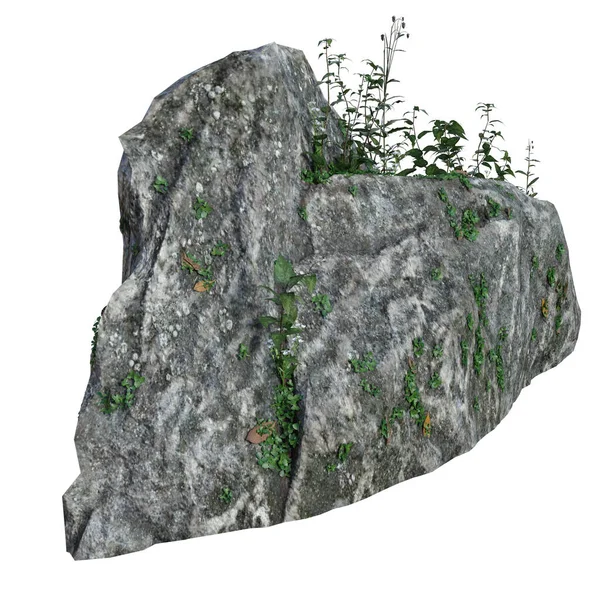 Příroda Rekvizita Balvan Rock — Stock fotografie