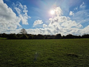 Low Angle View of Sheep at Agricultural Farm of England