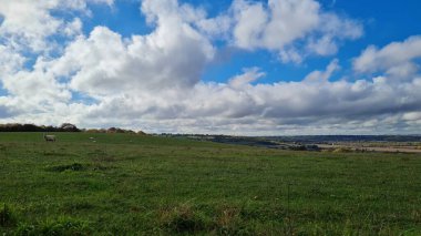Low Angle View of British Countryside of Sharpenhoe Clappers