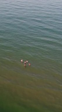 İngiltere 'deki Sandy Beach' in hava görüntüsü, Bournemouth City 'deki İngiltere Sahili' nin dikey görüntüsü.