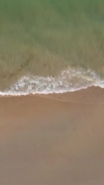 Αεροφωτογραφία Της Sandy Beach Της Αγγλίας Ηνωμένο Βασίλειο Κάθετη Πλάνα — Αρχείο Βίντεο