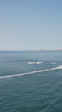 İngiltere 'deki Sandy Beach' in hava görüntüsü, Bournemouth City 'deki İngiltere Sahili' nin dikey görüntüsü.