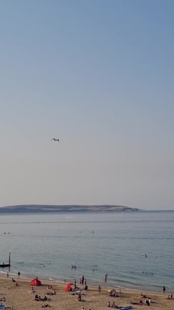 Vista Aérea Sandy Beach England Imágenes Verticales Playa Inglaterra Bournemouth — Vídeos de Stock