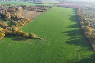 İngiltere 'nin St. Albans kentindeki İngiliz Manzarası ve Kırsal Bölgesi Güzel Hava Manzarası