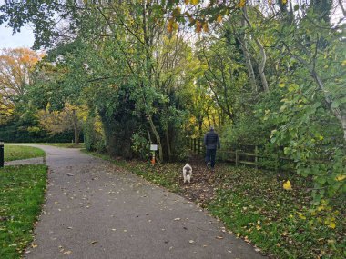 İngiltere 'nin St. Albans kasabasındaki yerel halk parkı manzarası