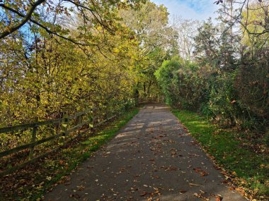 İngiltere 'nin St. Albans kasabasındaki yerel halk parkı manzarası