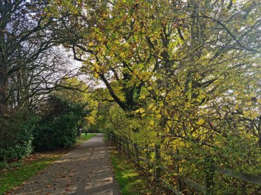 İngiltere 'nin St. Albans kasabasındaki yerel halk parkı manzarası