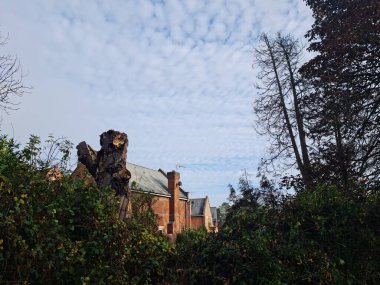 İngiltere 'nin St. Albans kasabasındaki yerel halk parkı manzarası