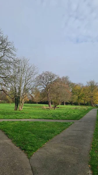 Helyi Public Park Tájkép Albans Város Anglia — Stock Fotó