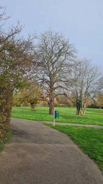 Lokal Offentlig Park Landskap Albans Stad England — Stockfoto