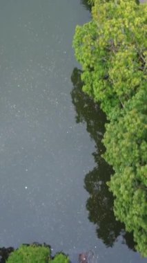 Luton kasabasının yerel halk parkında Yüksek Göl Açısı 