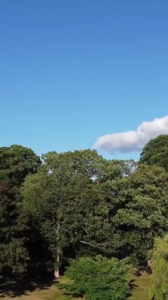 英国Luton镇当地公园的日间景观 — 图库视频影像