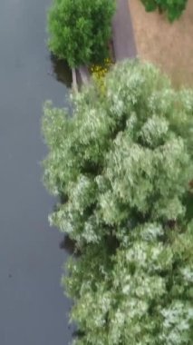 Luton kasabasının yerel halk parkında Yüksek Göl Açısı 