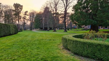 Bedford City 'deki Güz Ağaçları ve Yerel Kamu Parkı. Güzel güneşli bir gün