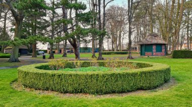 Bedford City 'deki Güz Ağaçları ve Yerel Kamu Parkı. Güzel güneşli bir gün