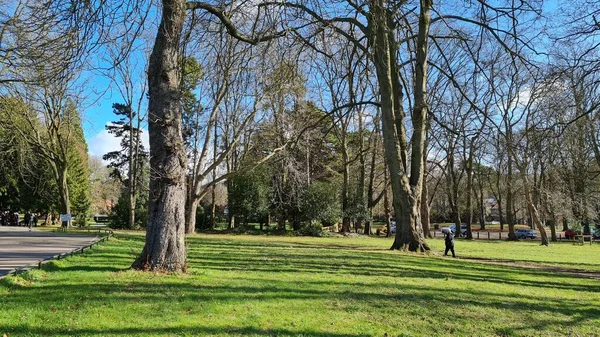 Herfstbomen Local Public Park Van Bedford City England Mooie Zonnige — Stockfoto