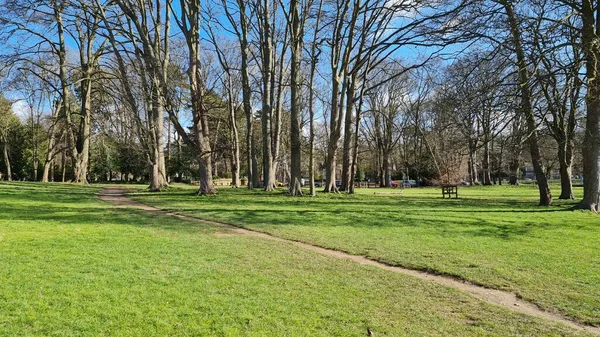 stock image Autumn Trees and Local Public Park of Bedford City of England. Beautiful sunny Day