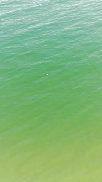 イギリス ボーンマスビーチ 2022年7月18日 人々は夏の休暇中に楽しんでいます 高角度ドローンカメラビュー — ストック動画