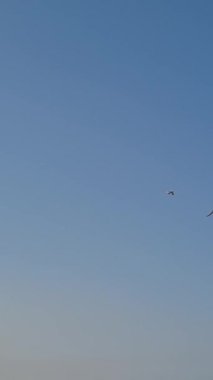 BİRLİK KINGDOM, BOURNEMOUTH BEACH - 18 Temmuz 2022: insanlar yaz tatillerinde eğleniyorlar. Yüksek Açı Drone Kamera Görünümü