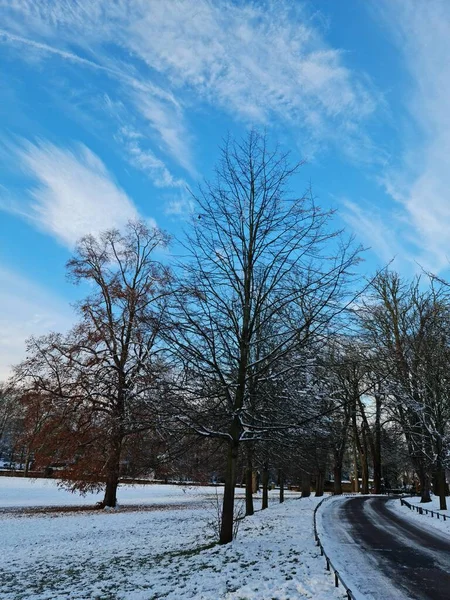 Antenne Des Wardown Public Park Wintertag — Stockfoto