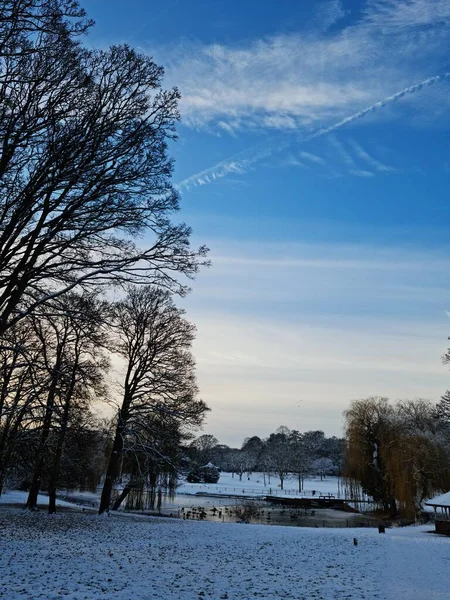 stock image High Angle Aerial of Wardown Public Park on Winter Day 