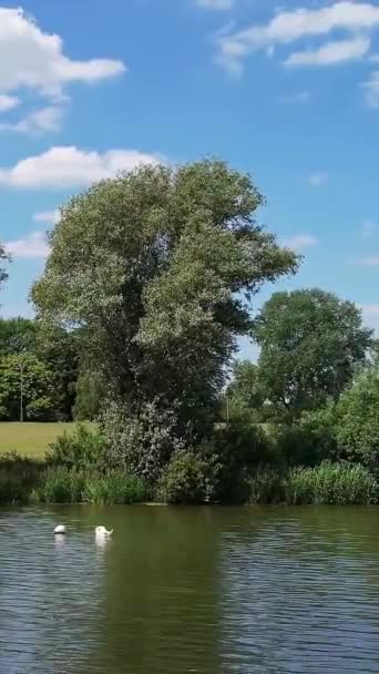 Miglior Vista Del Lago Inghilterra Verticale Ritratto Stile Video Clip — Video Stock