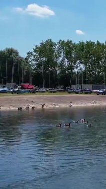 İngiltere 'deki En İyi Göl Görünümü, Dikey ve Portre Biçimli Video Klibi