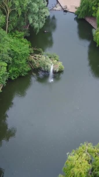 ルトン町の公園内の池の高角度 — ストック動画